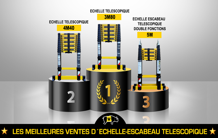 ECHELLE ESCABEAU TELESCOPIQUE WOERTHER DOUBLE BARRES STABILISATRICES,  TRIPLE FONCTIONS GRAFITEK 6M20/3M10 - AVEC HOUSSE - Cdiscount Bricolage